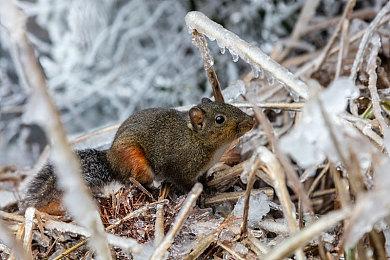 《新世界》Steam在线超47万 当前评价褒贬不一